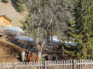 Chalet Rangersdorf Außenaufnahme 8