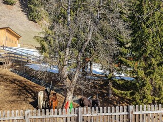 Chalet Rangersdorf Grabación al aire libre 12