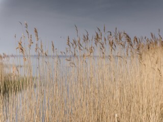 Am Achterwasser in Loddin