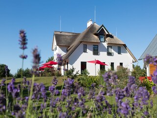 Der Kamphof Usedom