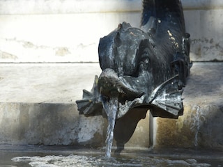 Ferienhaus Le Grau-du-Roi  40