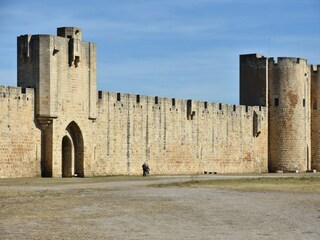 Ferienhaus Le Grau-du-Roi Umgebung 31
