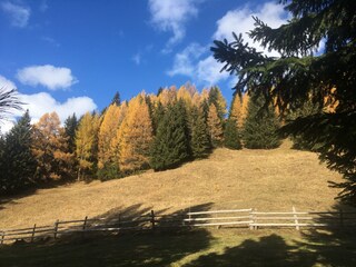 Vakantiehuis Malta in Kärnten Omgeving 6