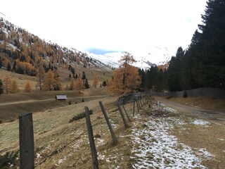 Wanderweg auf der Alm