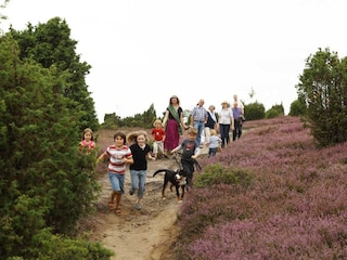 Ellerndorfer Wacholderheide