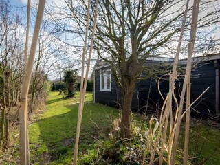 Casa per le vacanze Burgh-Haamstede Registrazione all'aperto 2