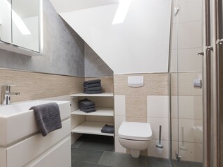 Badezimmer mit Dusche und WC und Fenster
