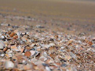 Chalet Biggekerke Umgebung 21