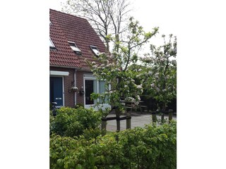 Appartamento per vacanze Domburg Registrazione all'aperto 3