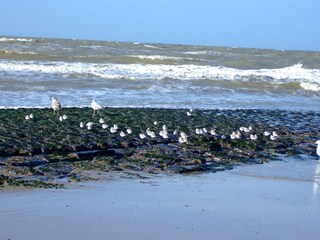 „Hausstrand“ S. Maartenszee