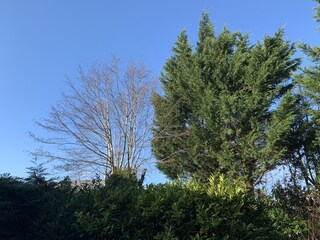 Casa per le vacanze Sint Maartensvlotbrug Registrazione all'aperto 13