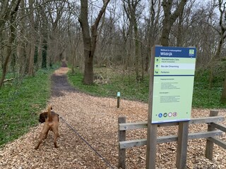 Wald „Het Wildrijk“ (300m entfernt vom ????