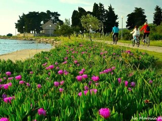 Appartamento per vacanze Turanj Ambiente 24