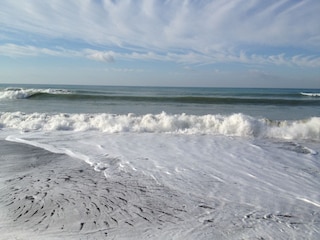 Villa Guardistallo Ambiente 36