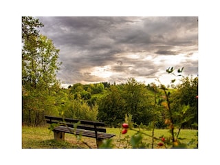 unterwegs im Wacholdergebiet