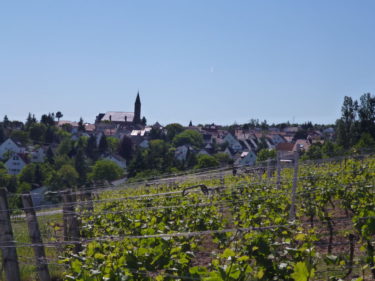 Weiler vom Weinberg aus