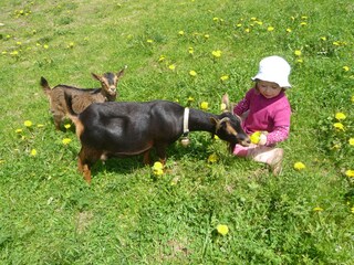 Appartamento per vacanze Moos in Passeier Ambiente 16