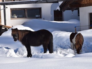 Appartamento per vacanze Moos in Passeier Ambiente 17