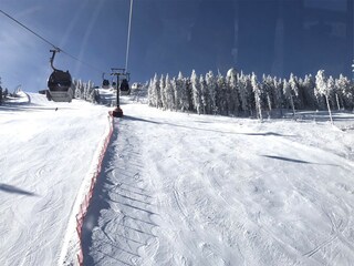 Apartment Lam Environment 31