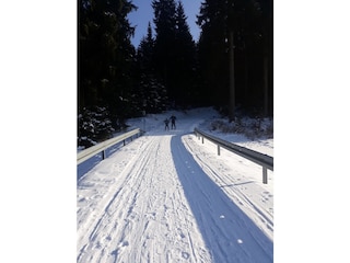 Winterspass im Erzgebirge