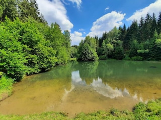 Naturteich Christelgrund