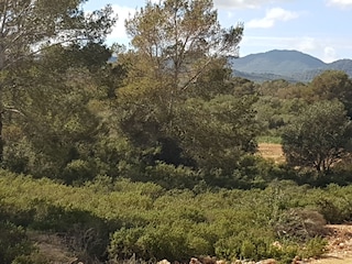 Blick vom Balkon