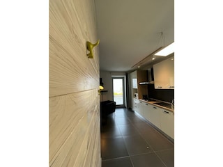 guarda l'elefante am EG