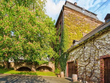 Ferienwohnung Weingut Zur Burg
