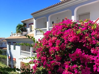 Appartement de vacances Torrox Costa Enregistrement extérieur 2