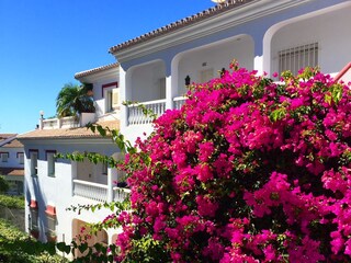 Vakantieappartement Torrox Costa Buitenaudio-opname 2