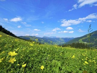 Chalet Hinterglemm Environment 33