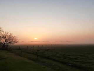 Maison de vacances Zoutkamp Environnement 29