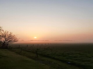 Vakantiehuis Zoutkamp Omgeving 29