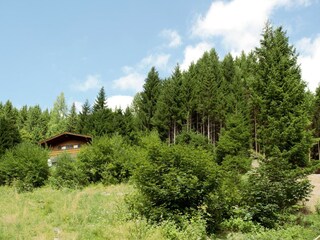 Chalet Hinterglemm Buitenaudio-opname 5