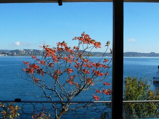 Holiday apartment Konstanz Outdoor Recording 4
