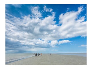 Auf der Insel Schiermonnikoog