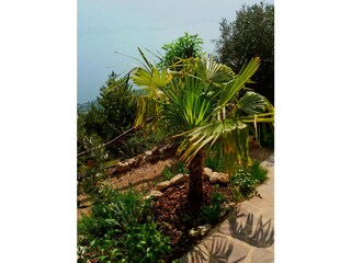 Appartamento per vacanze Tremosine sul Garda Registrazione all'aperto 3