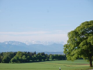 Appartamento per vacanze Grünwald Ambiente 16