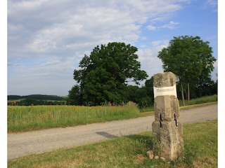 Weinbergsäule