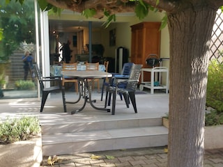 Blick vom Garten ins Haus mit Südterrasse, Schattenbaum