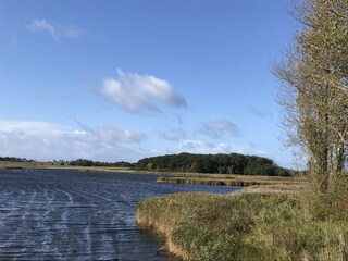 Salzwiesen am Ferienpark