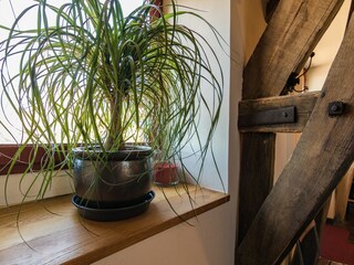 Vakantiehuis Altillac  40