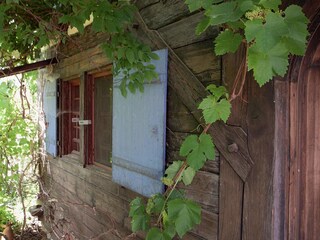 Casa de vacaciones Rottweil Grabación al aire libre 3