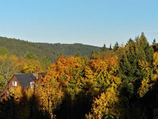 Blick in das Pöbeltal aus der Ferienwohnung