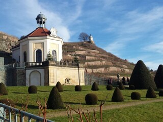 Schloß Wackerbart Radebeul