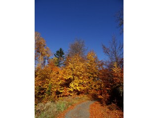 Herbstimpression
