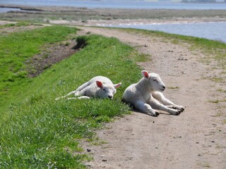 Ferienhaus Gollendorf Außenaufnahme 27