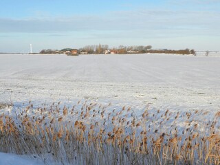 Ferienhaus Gollendorf Außenaufnahme 28