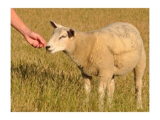 Ferienhaus Gollendorf Außenaufnahme 31