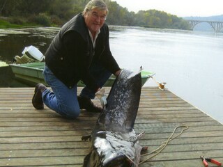 Bungalow Miami Playa Ambiente 20